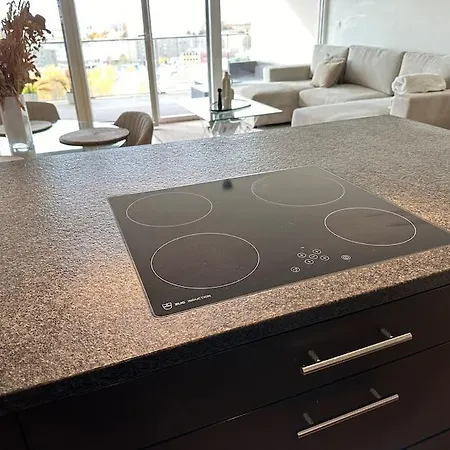 Design Et Tres Spacieux ! Lejlighed Le Mont-Sur-Lausanne